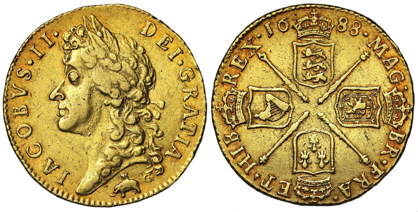James II 1688 Guinea, elephant and castle, Royal African Company Issue