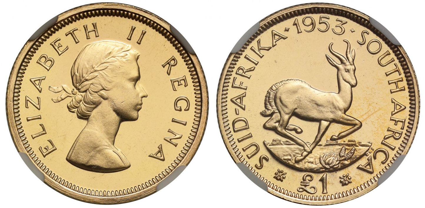 South Africa, Elizabeth II 1953 proof Pound PF67 CAMEO - high grade