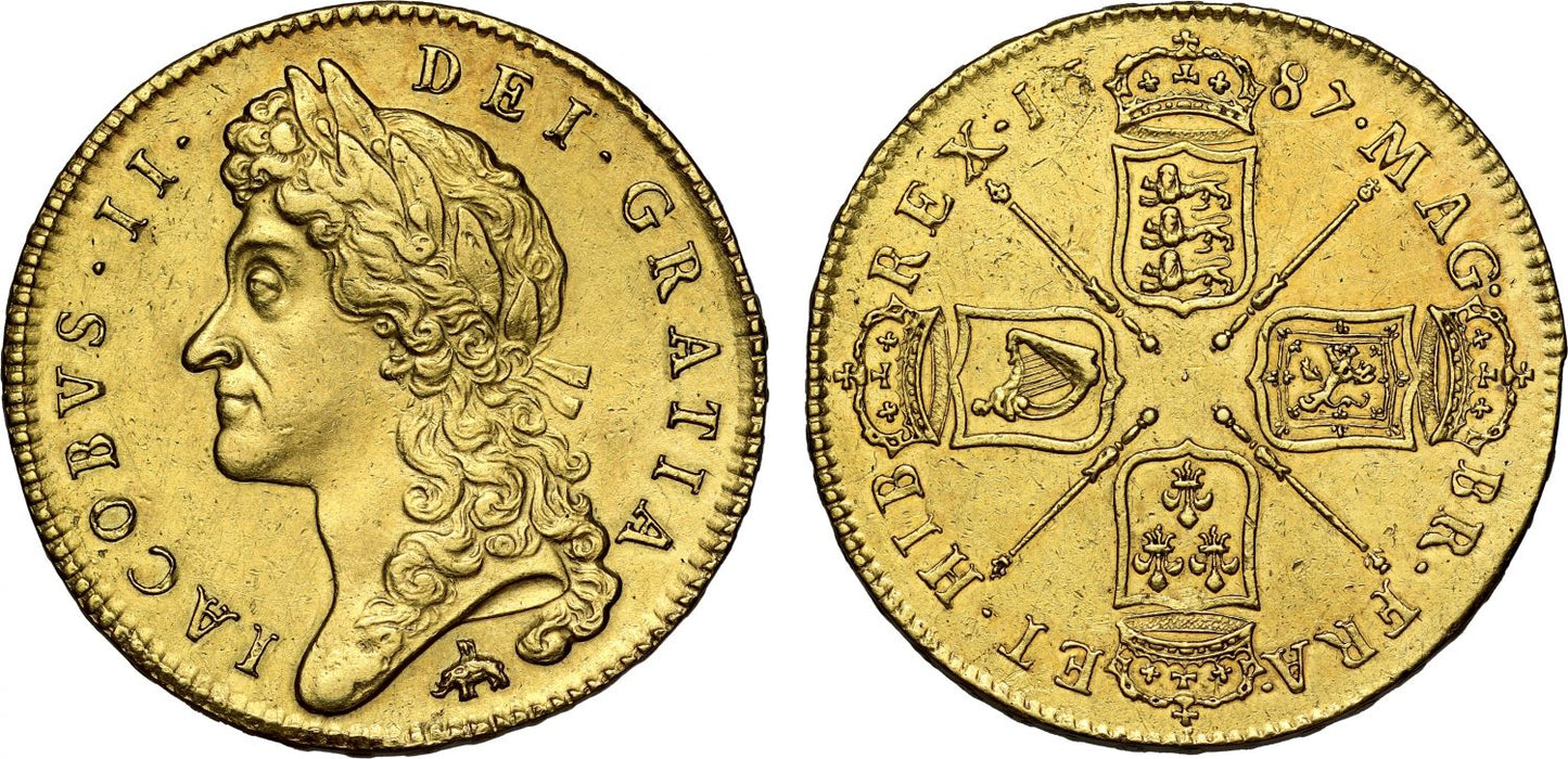 James II 1687 Five Guineas, Elephant & Castle, first bust, ex Tan