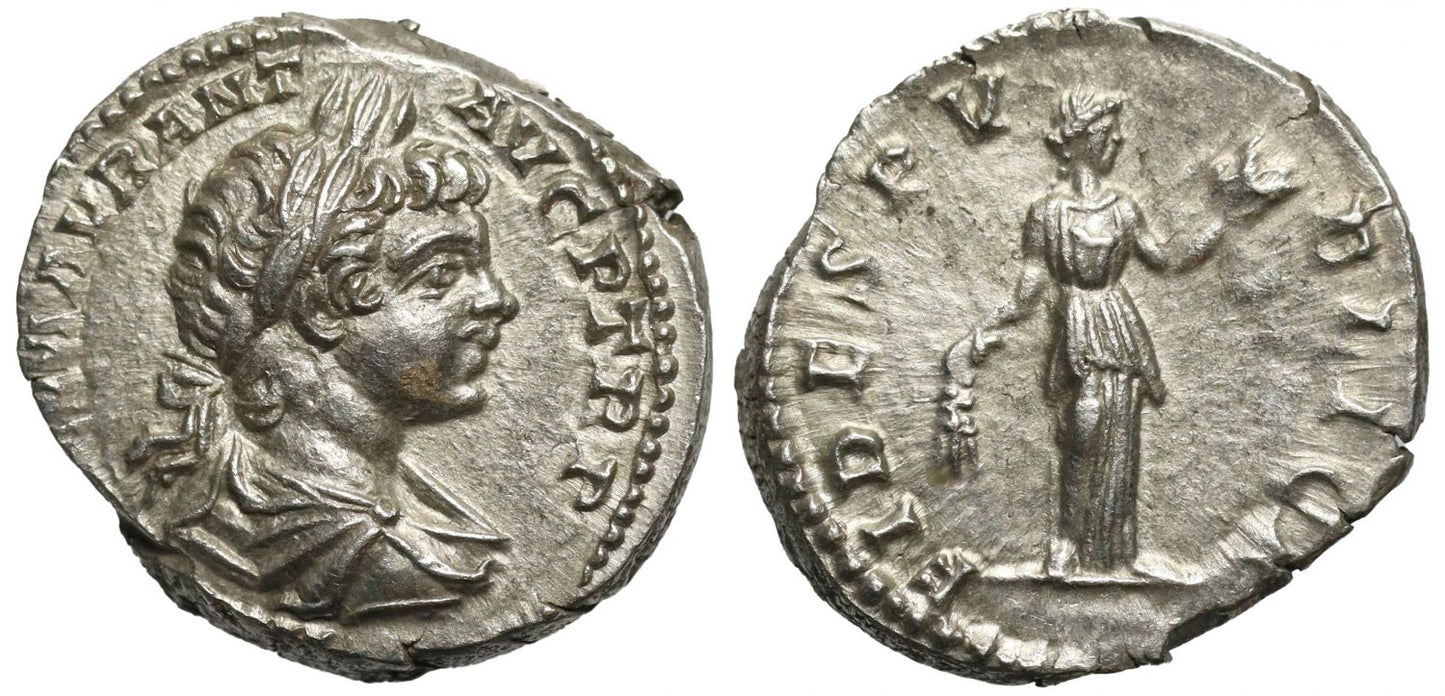 Caracalla, Silver Denarius, FIDES PVBLICA