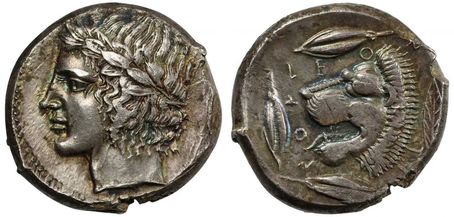 Sicily, Leontinoi, Silver Tetradrachm, 430-425 BC.
