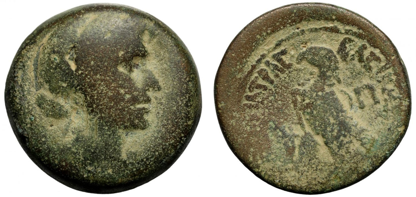 Egypt, Cleopatra VII (51-30 BC), Æ 80-Drachmai, Alexandria.