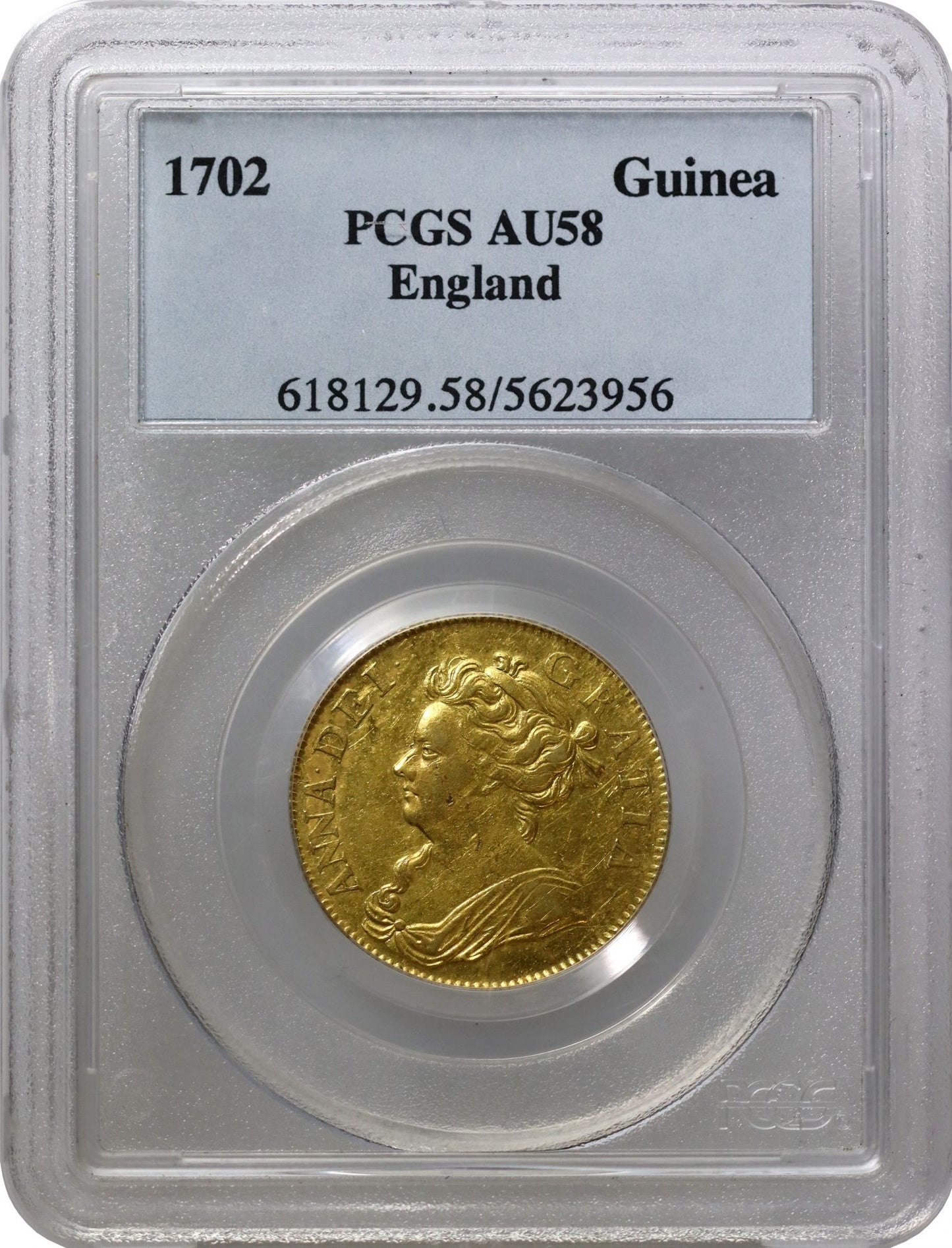 Anne 1702 Guinea, Pre-Union, rose at centre of reverse, AU58
