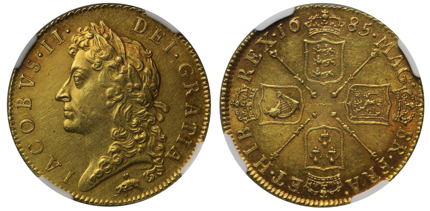 James II 1685 Guinea MS60