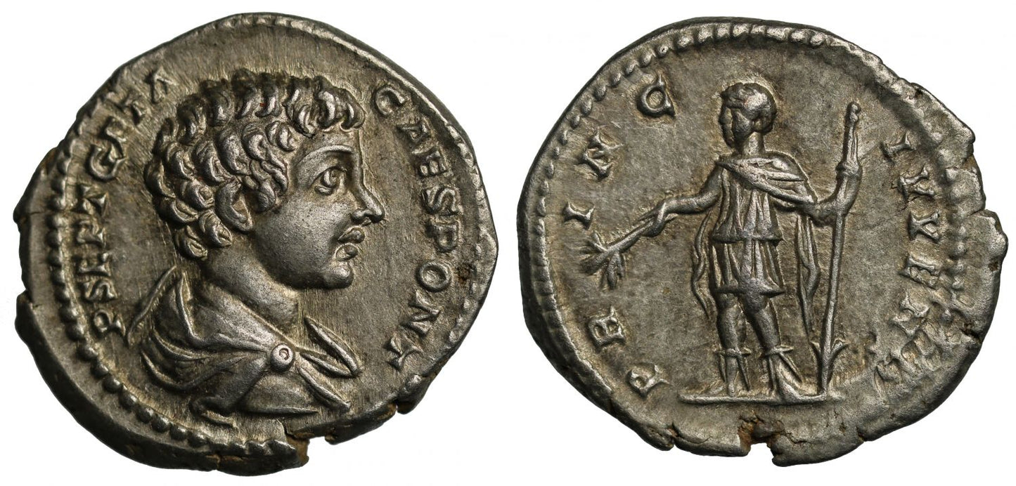 Geta, Silver Denarius