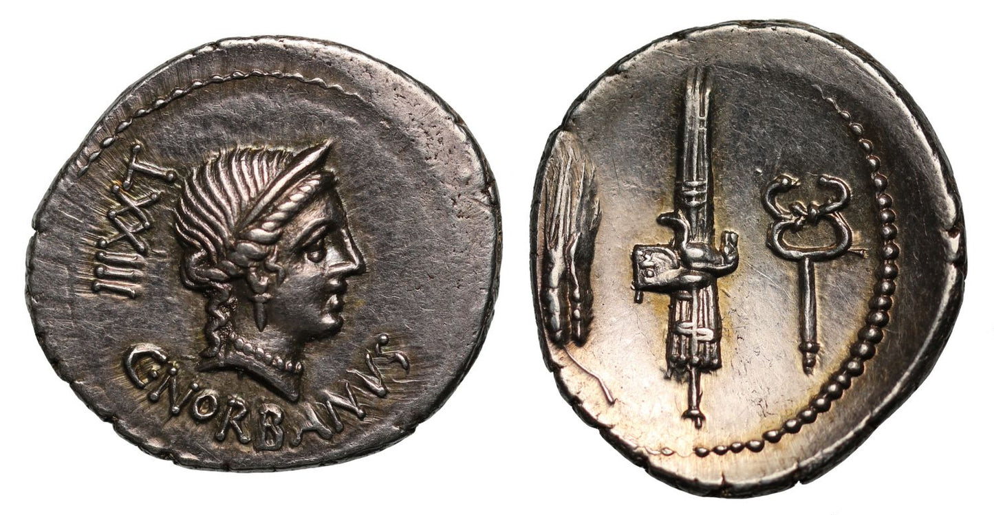 C. Norbanus, Silver Denarius