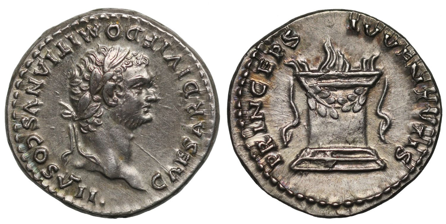 Domitian, Silver Denarius