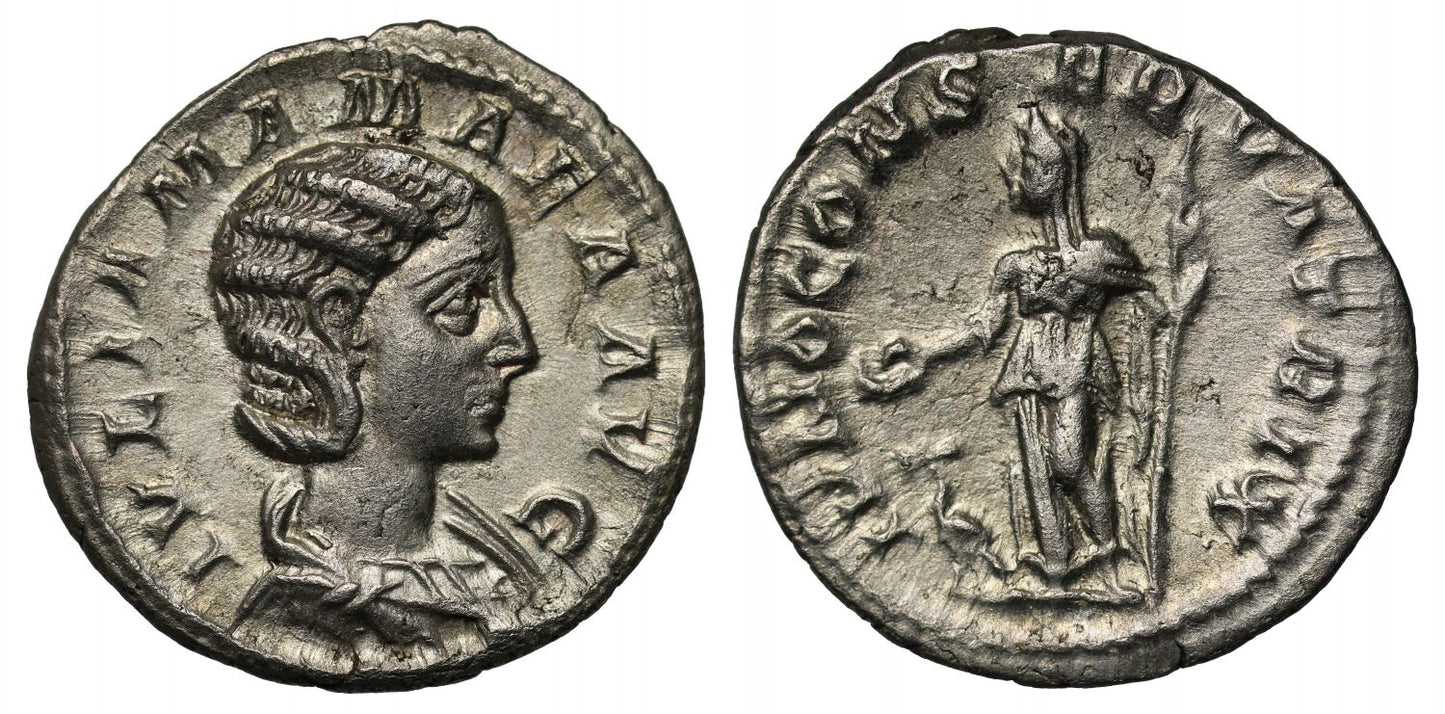 Julia Mamaea, Silver Denarius