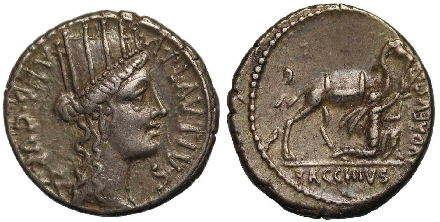 A. Plautius, Silver Denarius