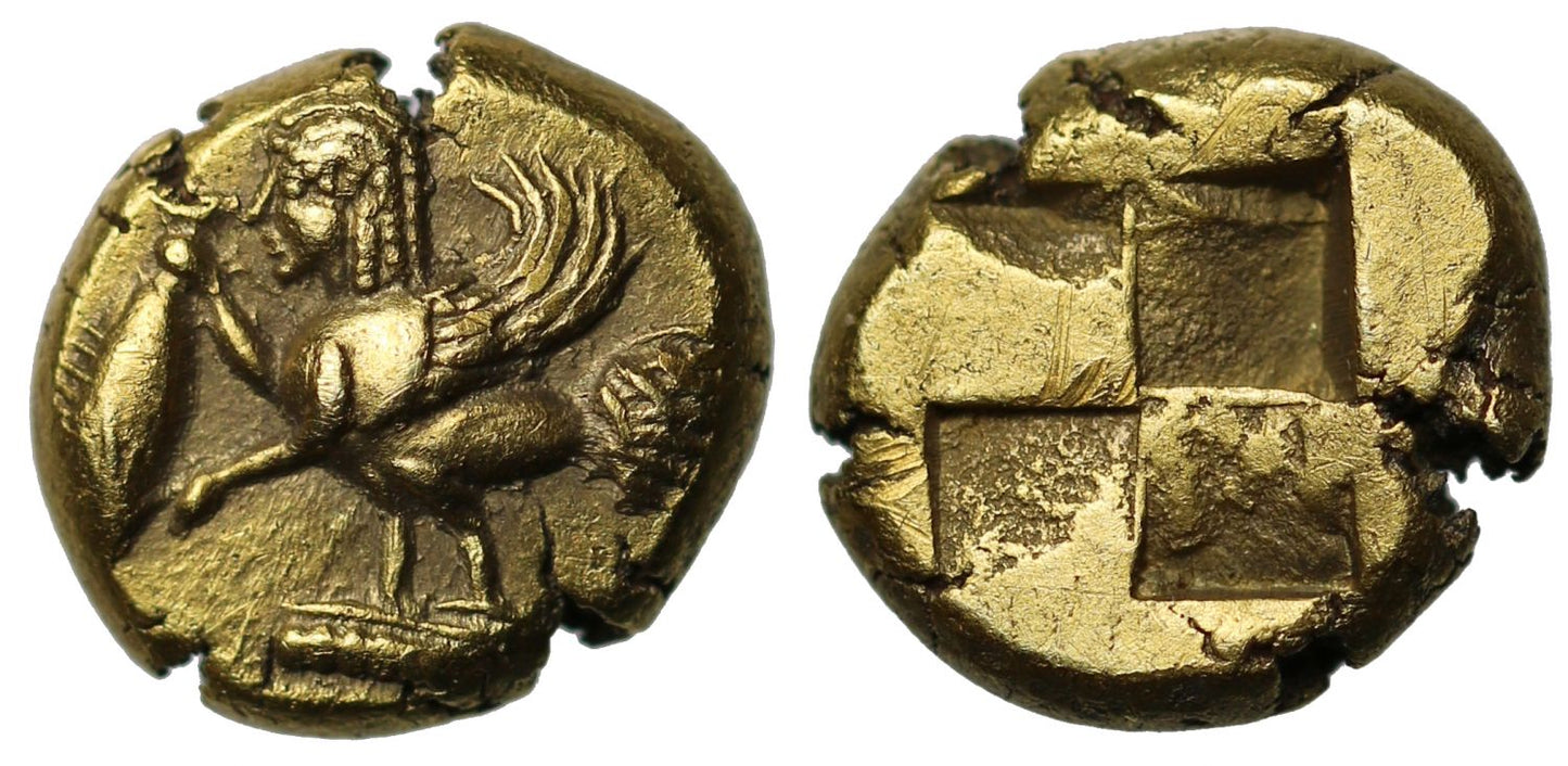 Mysia, Kyzikos (c.550-450 BC), Electrum Hekte, Harpy Type