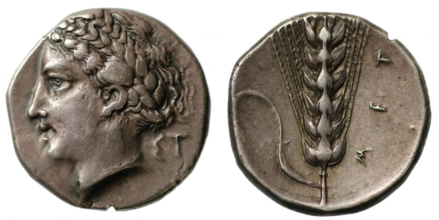 Lucania, Metapontum, Silver Nomos, VF 5/5, 3/5.