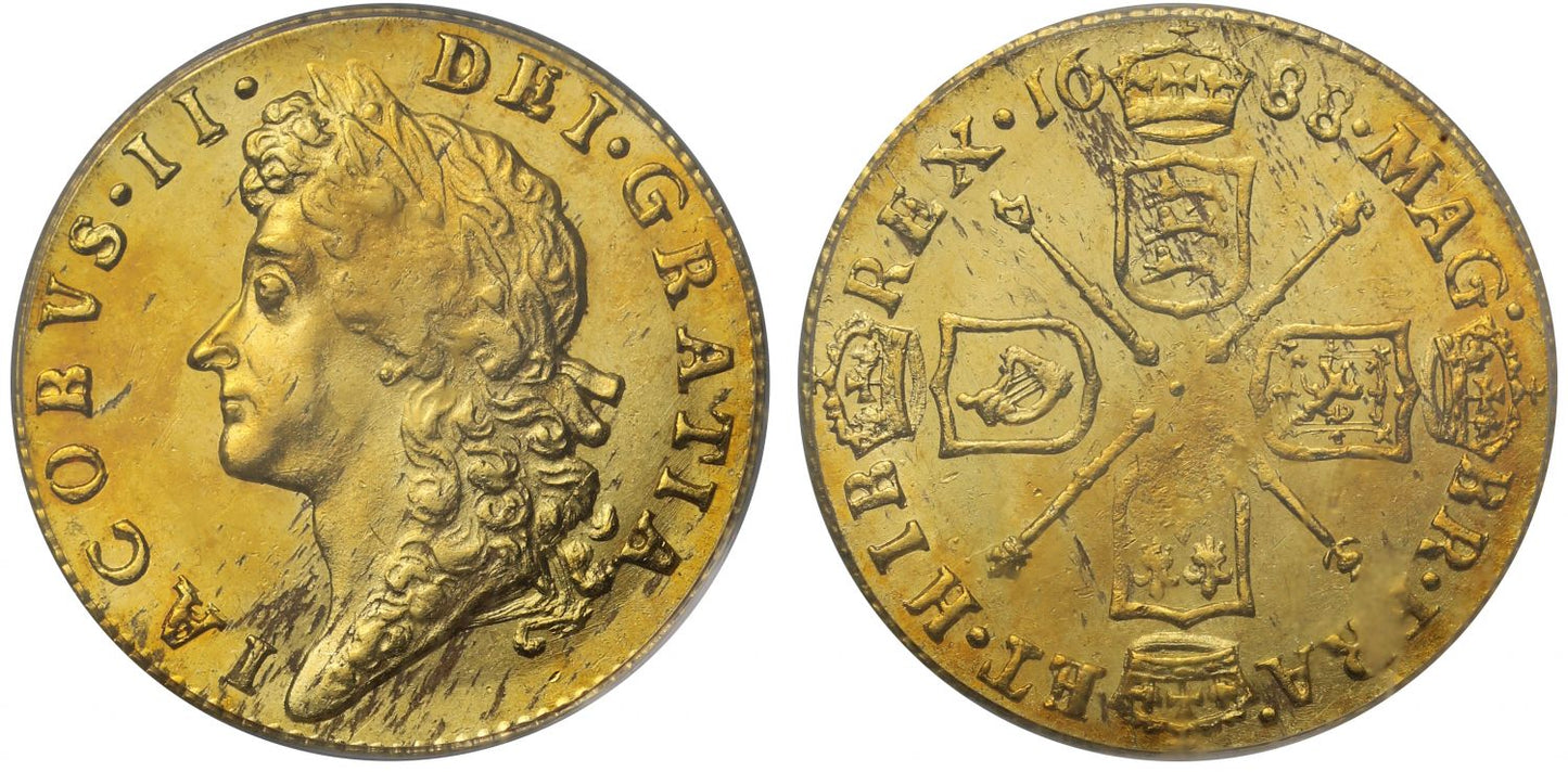 James II 1688 Half-Guinea PCGS MS62