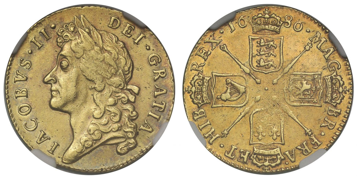 James II 1686 Guinea second bust AU55