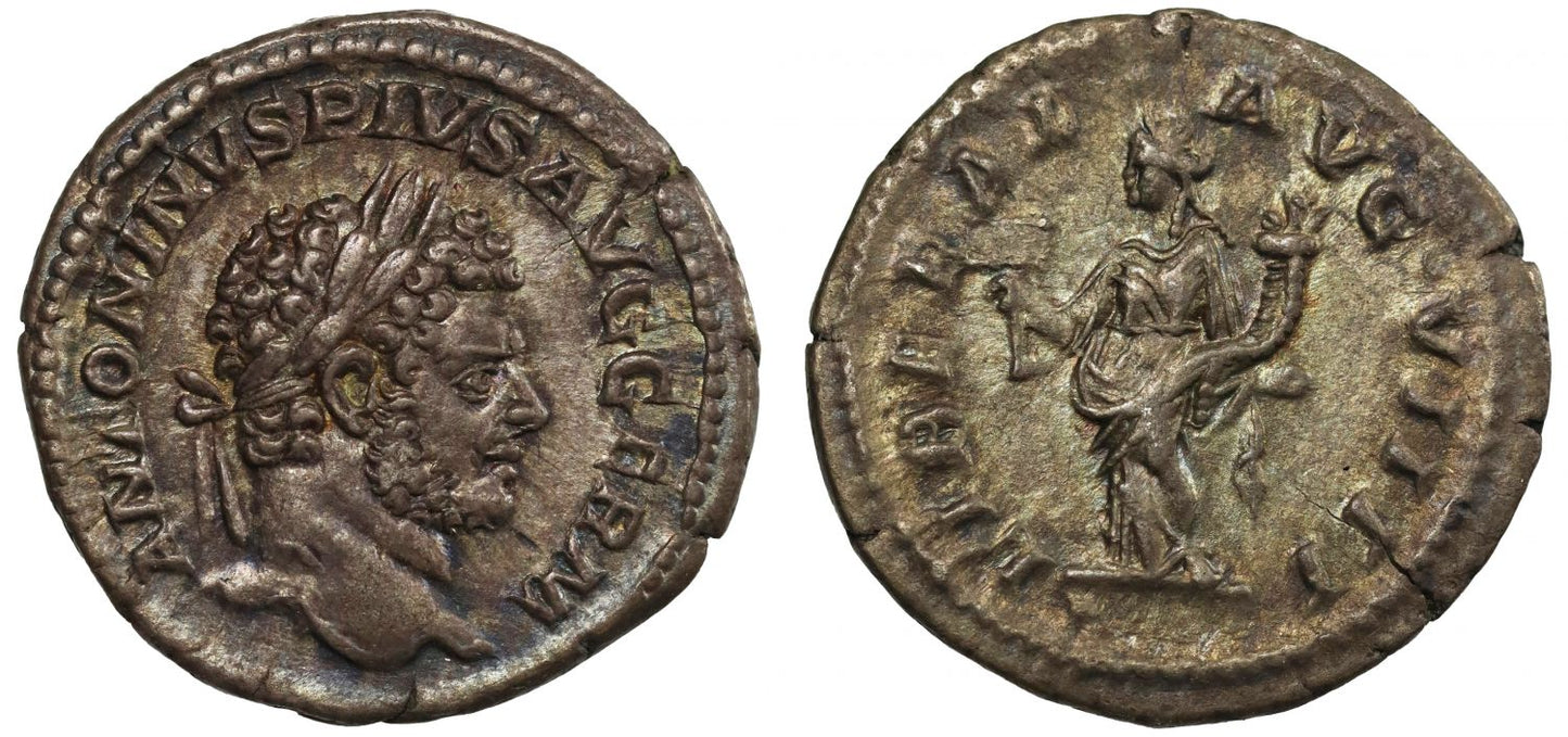 Caracalla, Silver Denarius, Liberalitas.