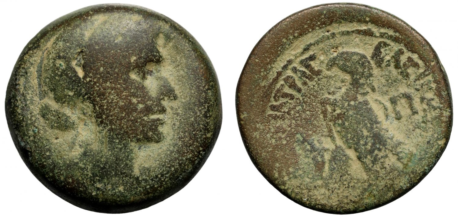 Egypt, Cleopatra VII (51-30 BC), Æ 80-Drachmai, Alexandria.