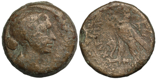 Egypt, Cleopatra VII (51-30 BC), Æ 80-Drachmai, Alexandria.