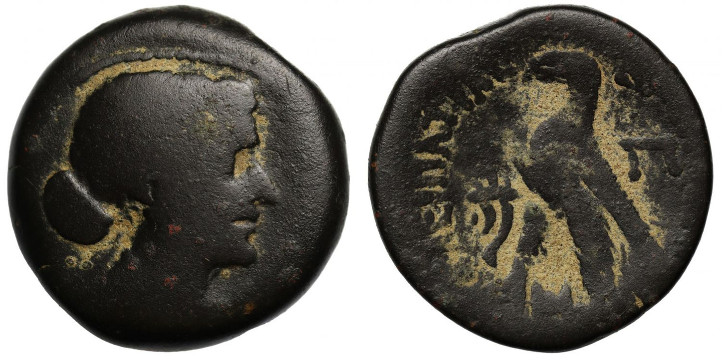 Ptolemaic Egypt, Cleopatra VII (51-30 BC), Æ 80-Drachmai, Alexandria.