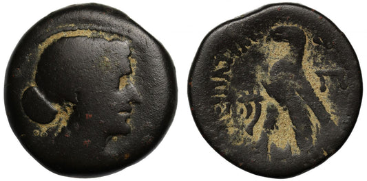 Ptolemaic Egypt, Cleopatra VII (51-30 BC), Æ 80-Drachmai, Alexandria.