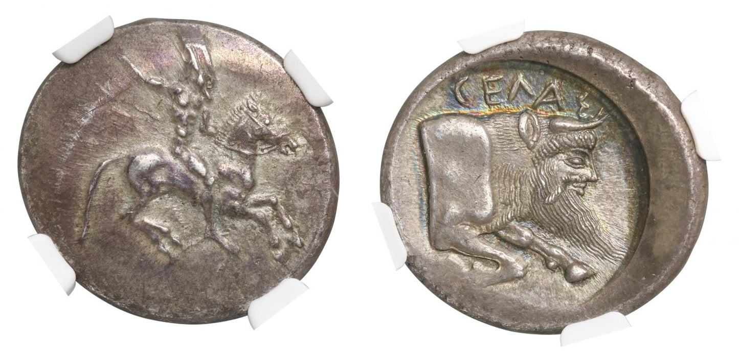 Sicily, Gela, Silver Didrachm, NGC Ch. AU, 4/5, 4/5
