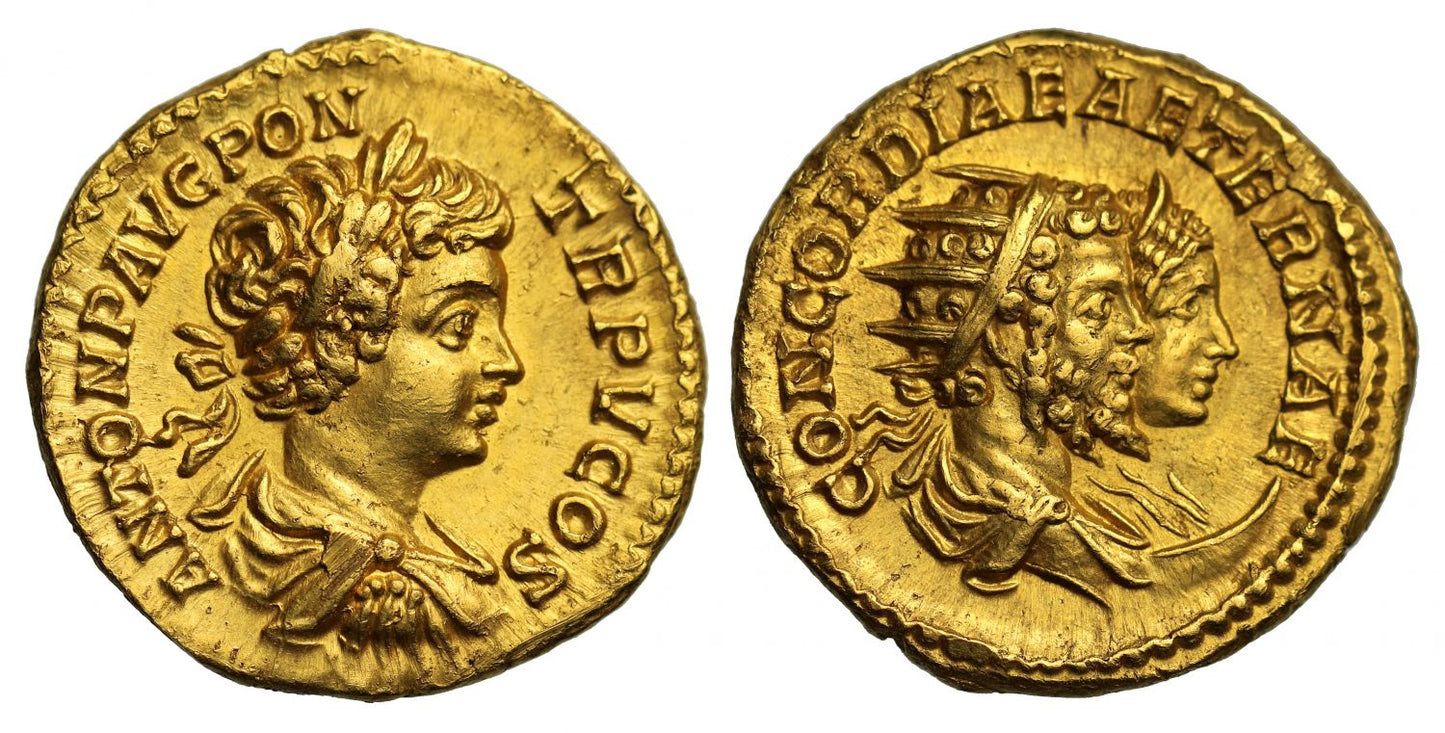 Caracalla, Aureus, with Septimius Severus and Julia Domna NGC Ch AU 5/5,2/5