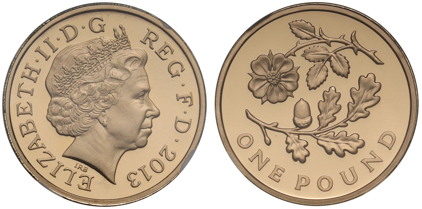 Elizabeth II 2013 PF69 UCAM gold £1 - England Oak