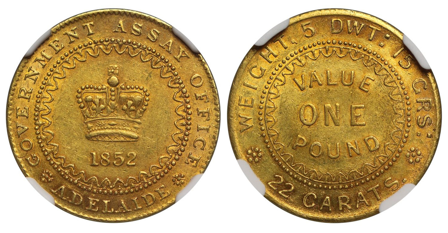 Australia, Adelaide 1852 Pound, gold token issue graded MS61 ex Paramount