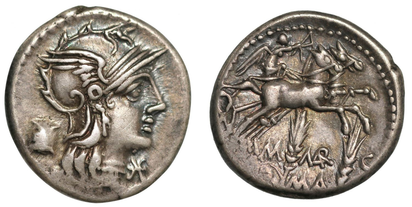 M. Marcius MN. F, Denarius.