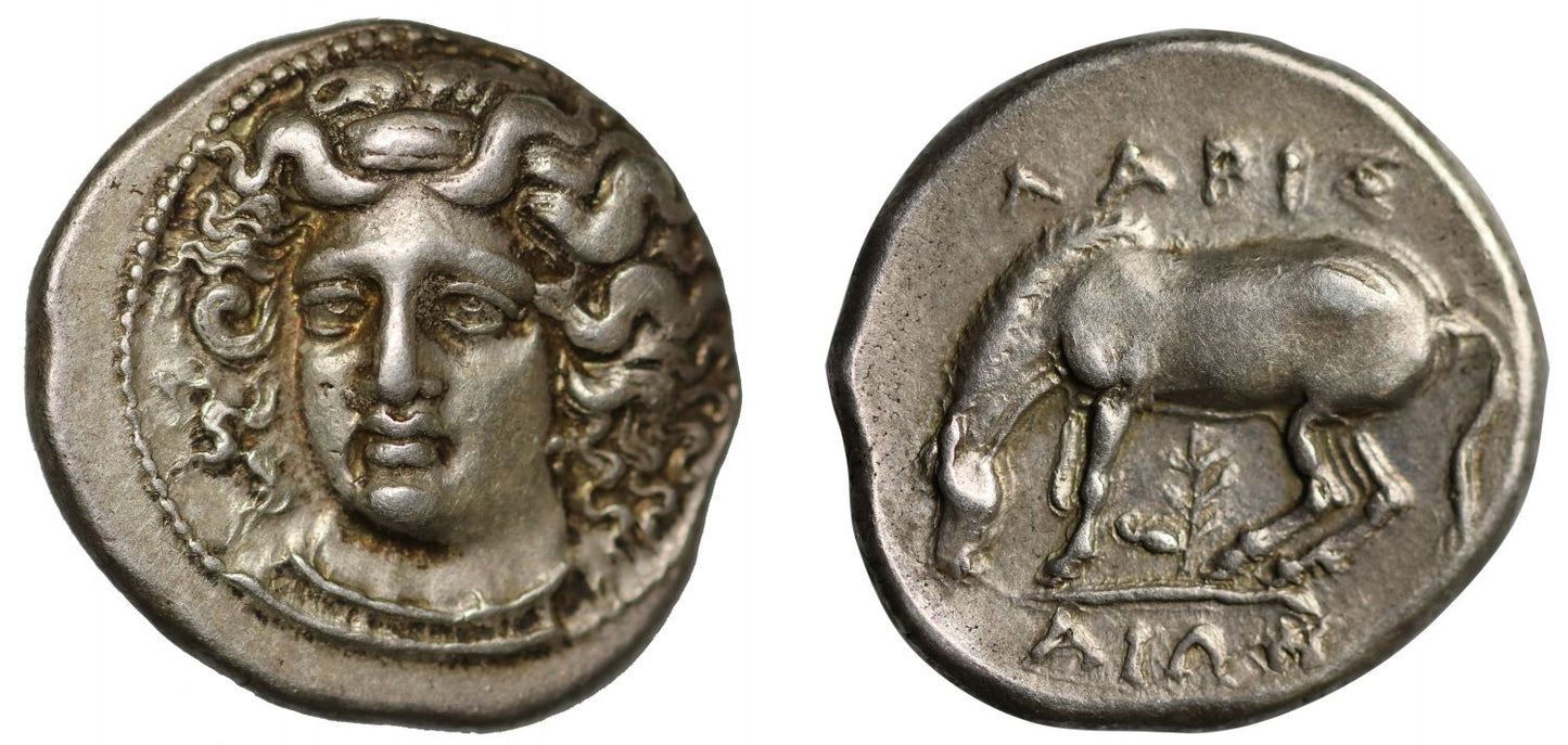Thessaly, Larissa, silver Drachm, NGC, XF 5/5, 5/5.