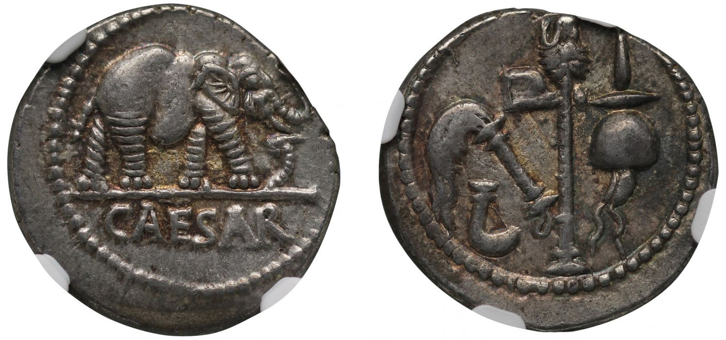 Julius Caesar, silver Denarius, NGC AU 5/5 4/5